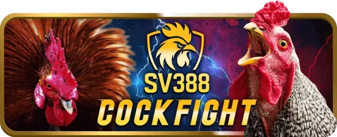 Quản lý tài khoản v9win chính thức